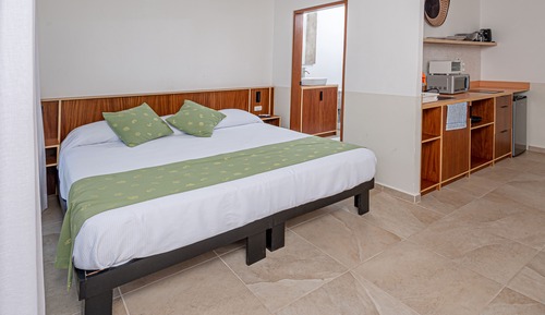 Suite estudio Confort (Margarita)