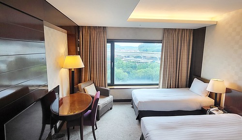 Habitación Deluxe con 2 camas individuales