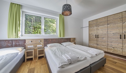Basic Apartment, Non Smoking, Mountainside