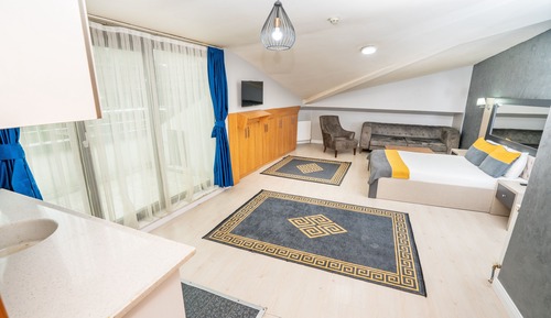 Estudio estándar, 1 cama doble, vistas a la ciudad