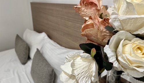 Habitación económica con 1 cama doble o 2 individuales