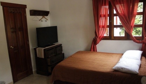 Habitación doble, vistas al jardín