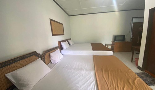 Suite estudio familiar