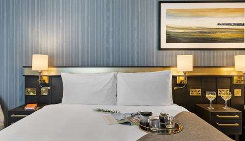 Habitación clásica, 1 cama doble