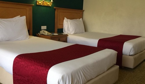 Habitación estándar con 1 cama doble o 2 individuales