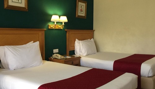 Habitación doble (Special offer for Egyptians only)
