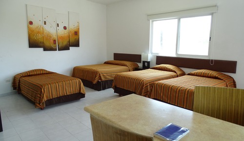 Suite, 1 habitación (Master Suite)