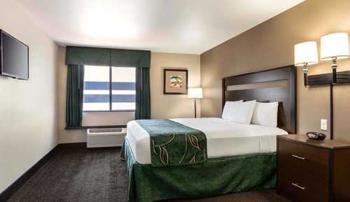 Habitación, 1 cama de matrimonio grande, accesible para personas con discapacidad, no fumadores