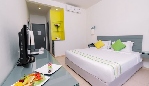 Habitación estándar, vistas al jardín