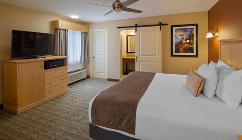 Habitación estándar, 1 cama de matrimonio grande, no fumadores, frigorífico y microondas