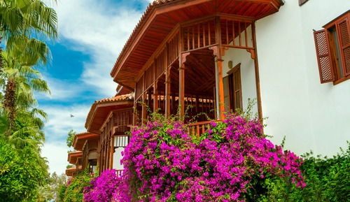 Standard Club Bungalow