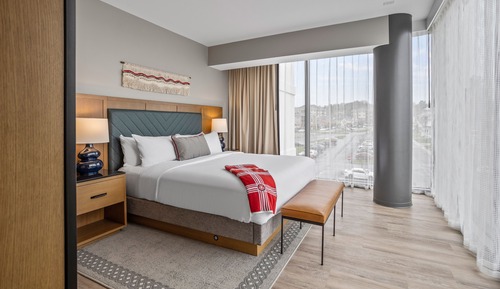 Habitación Premium, 1 cama de matrimonio grande