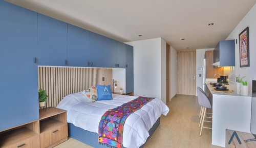 Suite estudio ejecutiva, 1 cama de matrimonio