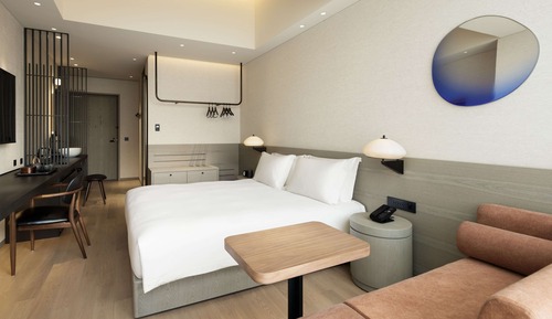 Habitación Deluxe, 1 cama de matrimonio grande, vistas a la ciudad (Shower)