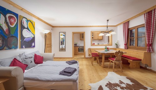 One Bedroom Apartment