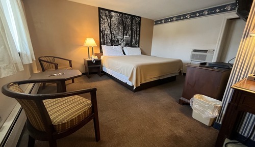 Habitación individual estándar, 1 cama de matrimonio grande