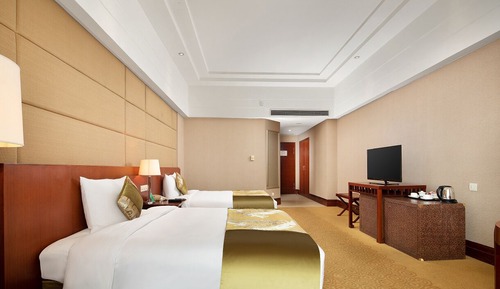 Habitación Deluxe con 2 camas individuales