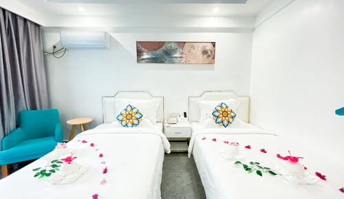 Habitación Deluxe con 2 camas individuales