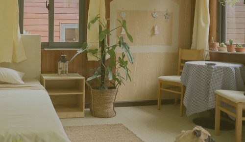 Morning Peace Room