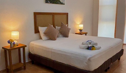 Habitación estándar con 1 cama doble o 2 individuales