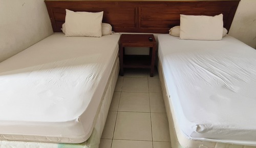 Habitación estándar con 2 camas individuales