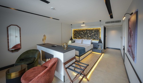 Habitación clásica, 1 habitación, balcón, vistas al jardín