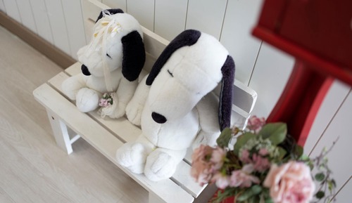 Basic Room, 1 Bedroom (taeyang)