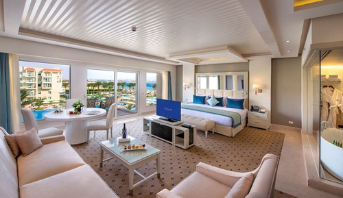 Suite de lujo, 1 habitación