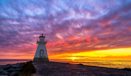 Cabaña Confort, baño privado, vistas al jardín (Unit 3)