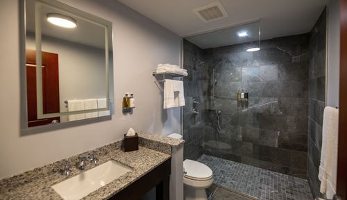 Habitación estándar, 1 cama de matrimonio grande