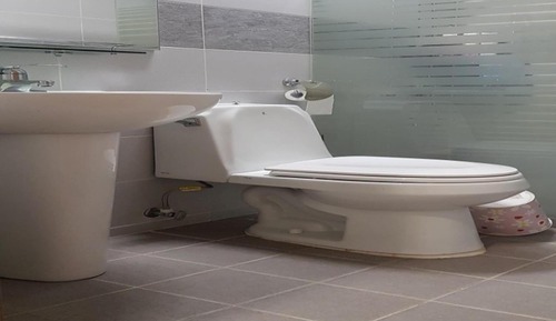 Room (203 (Floor Bed))