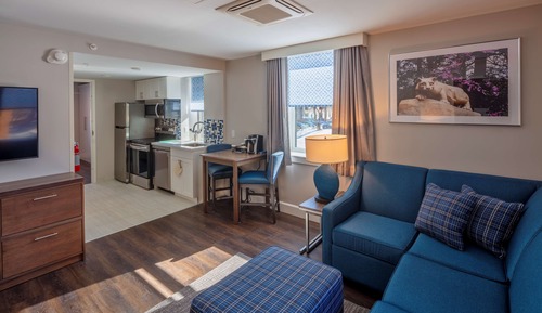 Suite (1 King 1 Sofa Bed)