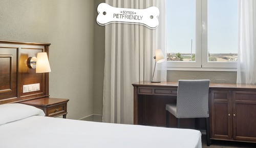Habitación doble (Pet Friendly)