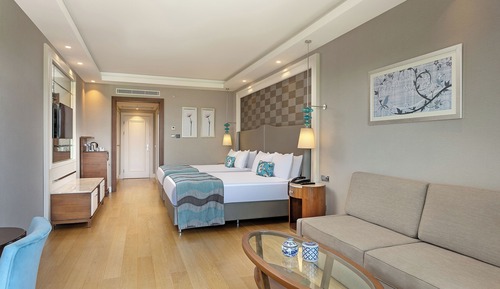 Superior Room 12+