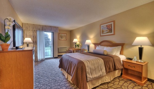 Habitación estándar, 1 cama de matrimonio grande, no fumadores, bañera de hidromasaje