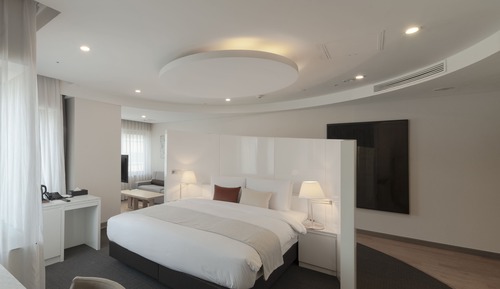 Habitación ejecutiva (Suite)