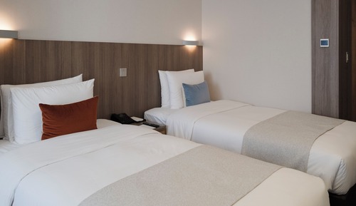 Habitación estándar con 2 camas individuales, bañera