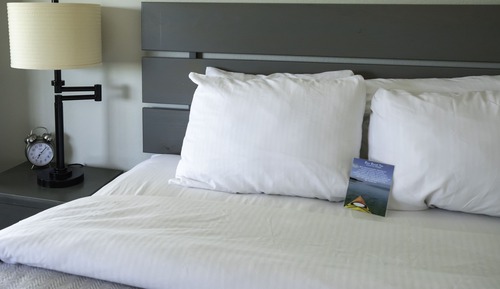 Estudio estándar, 1 cama de matrimonio, frigorífico y microondas, vistas al lago