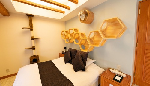 Habitación Deluxe doble, no fumadores