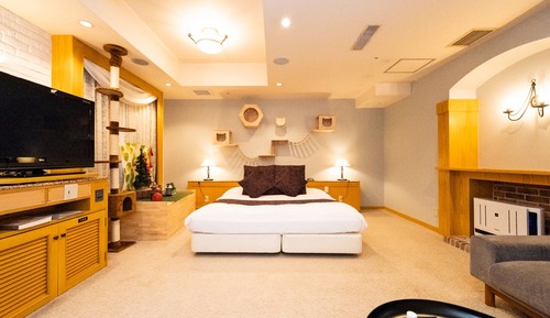 Habitación Premium doble, no fumadores