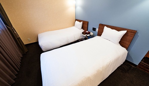 Habitación Deluxe con 2 camas individuales, no fumadores