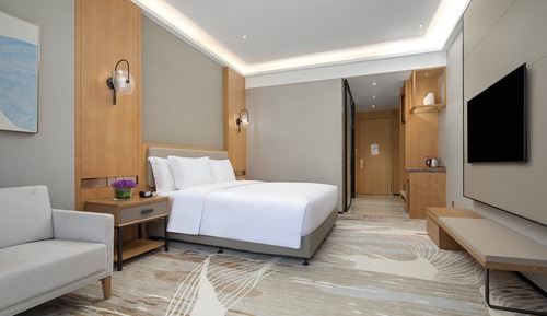 Habitación estándar, 1 cama de matrimonio grande