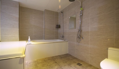 Room (Special room (spacious room/system ai)