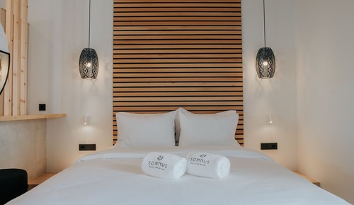 Habitación Deluxe con 2 camas individuales