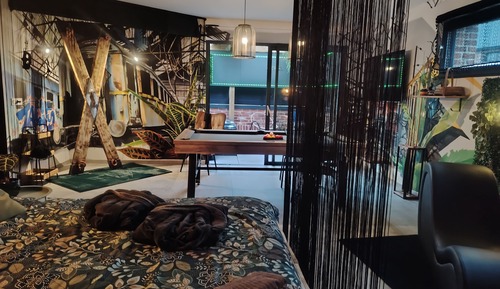 Habitación de diseño