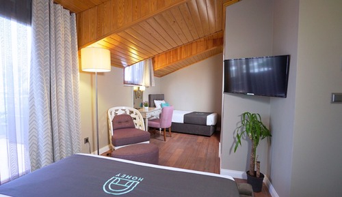 Habitación ejecutiva con 1 cama doble o 2 individuales