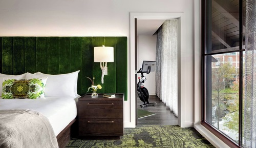 Estudio, 1 cama de matrimonio grande