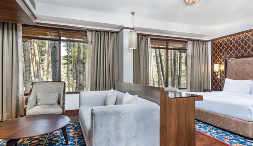 Suite junior, no fumadores