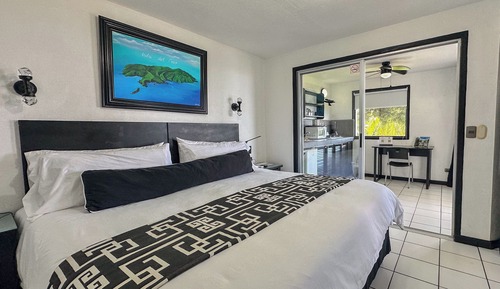 Suite estudio superior