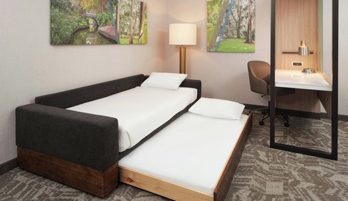 Suite, 1 cama de matrimonio grande con sofá cama